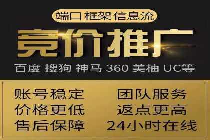 竞价SEM案例分享：行业霸主崛起之路